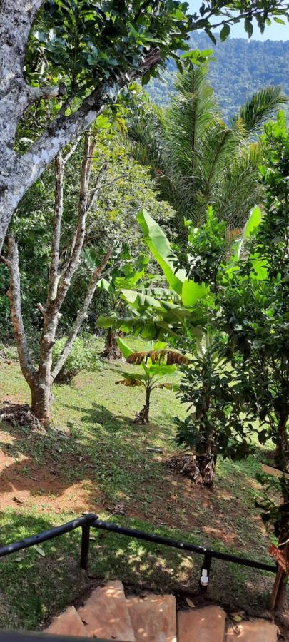 Suites Casinha Do Alto Da Bocaina Sao Pedro da Serra  Exteriér fotografie